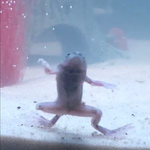 Meet your Posher, Anh